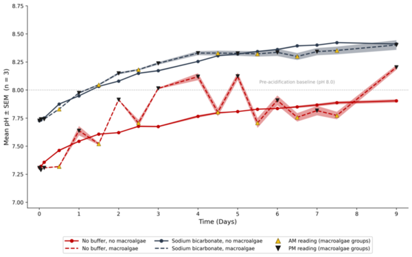 Experimental evaluation of time-dependent buffer effectiveness in open vs. sealed Long Island Sound microcosms