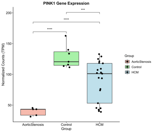 Multi-omic analysis identifies mitochondrial dysfunction as a key feature of hypertrophic cardiomyopathy