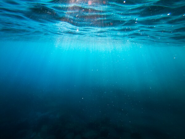 The effect of pH levels on the growth rate of diatoms