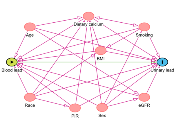 Dietary calcium intake and lead body burden in U.S. adolescents