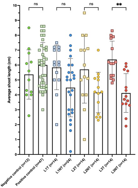 Exogenous foliar thiamine application as an alternative strategy to mitigate lead stress in <i>Lepidium sativum</i>