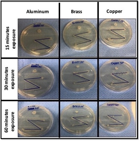 Antibacterial Effects of Copper Surfaces