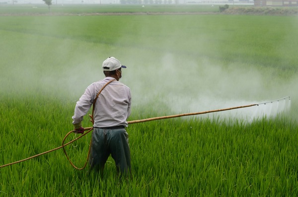 Effects of Common Pesticides on Population Size, Motor Function, and Learning Capabilities in <em>Drosophilia melanogaster</em?