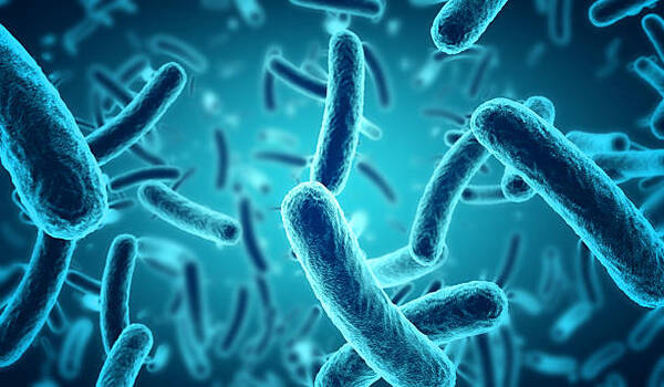 Comparing Virulence of Three T4 Bacteriophage Strains on Ampicillin-Resistant and Sensitive <em>E. coli</em> Bacteria