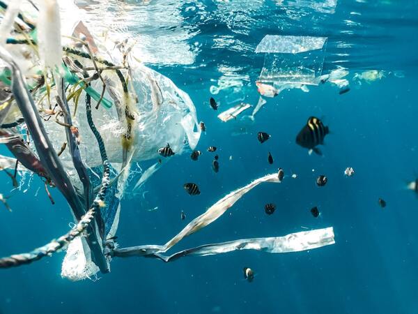 A novel filtration model for microplastics using natural oils and its application to the environment