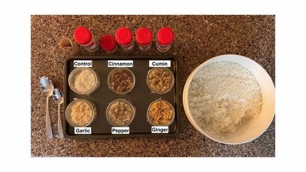 Effects of spices on rice spoilage