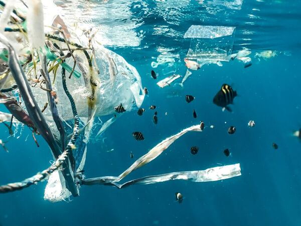 Cleaning up the world’s oceans with underwater laser imaging