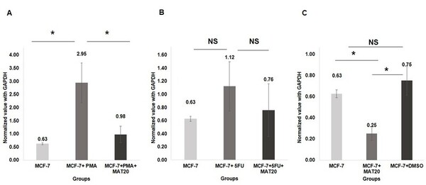 Anti-inflammatory and pro-apoptotic properties of the polyherbal drug, MAT20, in MCF-7 cells