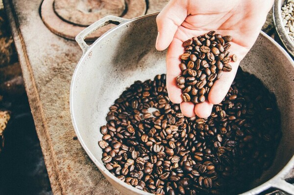 Comparison of total flavonoid content and DPPH● sequestration in Arabica, Robusta, and Liberica coffee beans