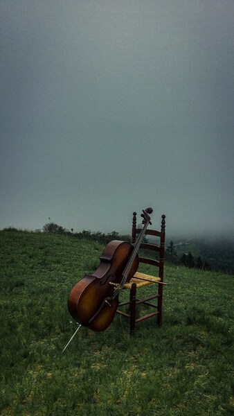 Exploring the resonant vibration of a cello with the finite element method
