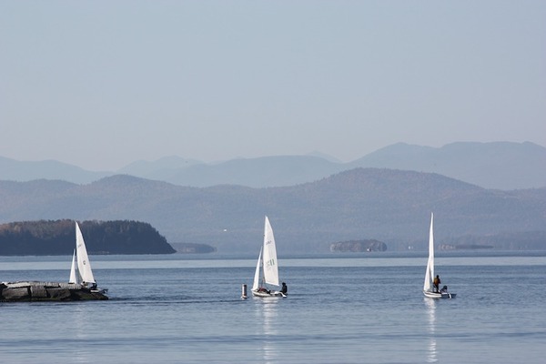 Characterization and Phylogenetic Analysis of the Cytochrome B Gene (<em>cytb</em>) in <em>Salvelinus fontinalis</em>,<em> Salmo trutta</em> and <em>Salvelinus fontinalis X Salmo trutta</em> Within the Lake Champlain Basin 