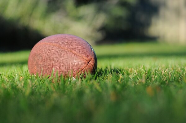 A multi-dimensional analysis of NFL red zone efficiency