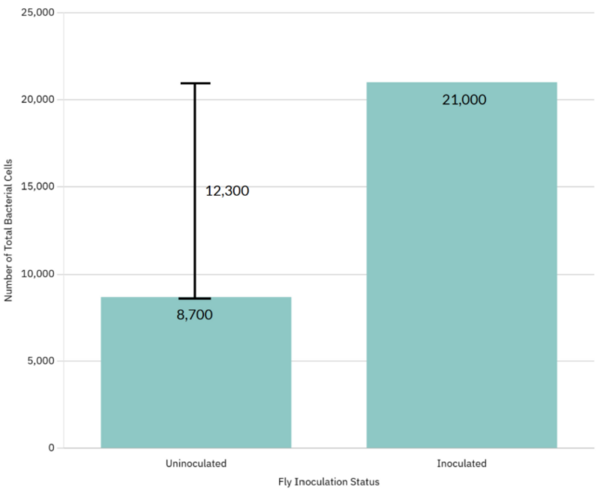 The effects of a high-sucrose diet on the survival of <i>Drosophila melanogaster</i> from a bacterial infection