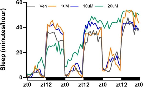 Dantrolene-induced ER stress alters sleep in <i>Drosophila melanogaster</i>