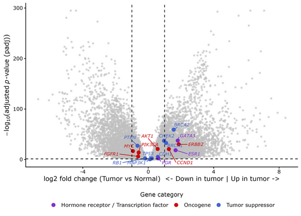 Integrated expression, mutation, and survival analysis of 17 key genes in breast cancer using TCGA-BRCA data