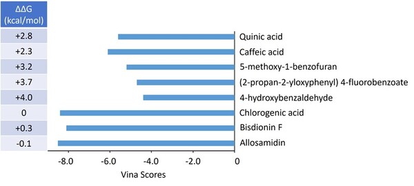 Computational prediction of chlorogenic acid binding to disease-linked proteins CHIT1 and CHI3L1
